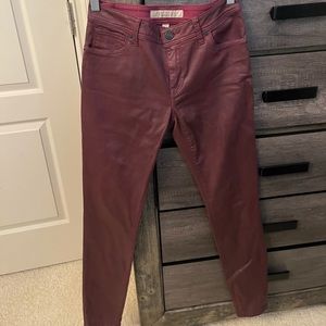 Burberry Pants